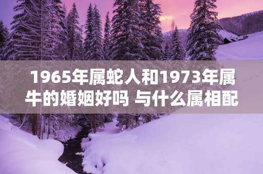 1965年属蛇人和1973年属牛的婚姻好吗 与什么属相配