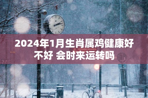 2025年1月生肖属鸡健康好不好 会时来运转吗