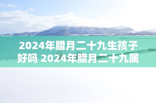 2025年腊月二十九生孩子好吗 2025年腊月二十九属什么生肖