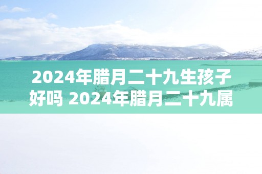 2024年腊月二十九生孩子好吗 2024年腊月二十九属什么生肖