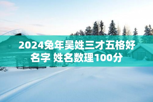 2025蛇年吴姓三才五格好名字 姓名数理100分