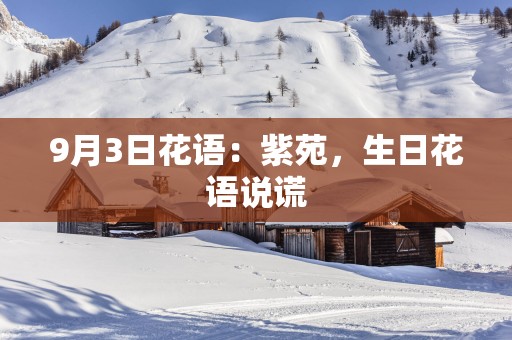9月3日花语：紫苑，生日花语说谎