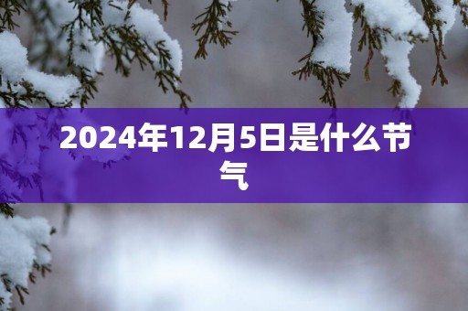2025年12月5日是什么节气