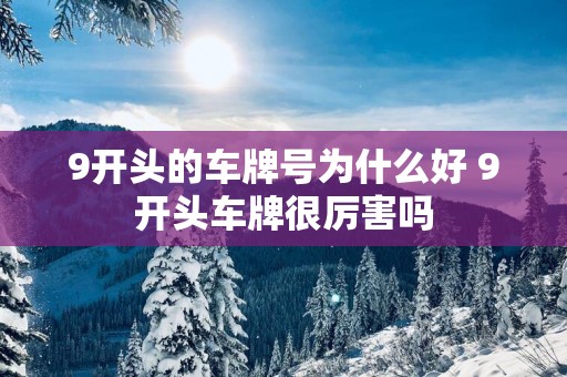 9开头的车牌号为什么好 9开头车牌很厉害吗