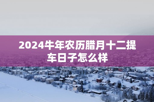 2025蛇年农历腊月十二提车日子怎么样