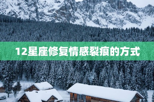 12星座修复情感裂痕的方式