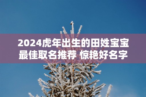 2025蛇年出生的田姓宝宝最佳取名推荐 惊艳好名字