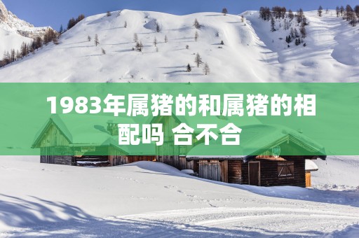 1983年属猪的和属猪的相配吗 合不合