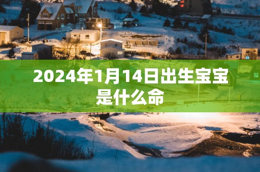 2025年1月14日出生宝宝是什么命