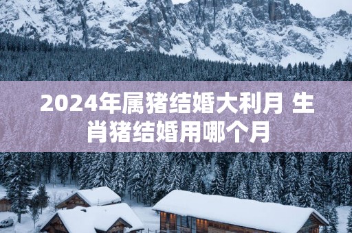 2025年属猪结婚大利月 生肖猪结婚用哪个月