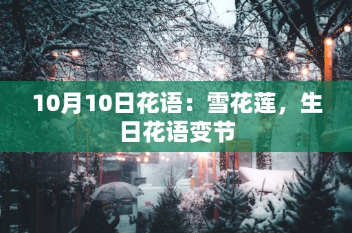 10月10日花语：雪花莲，生日花语变节