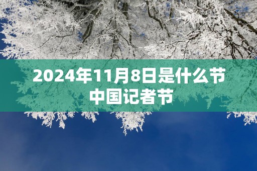 2025年11月8日是什么节 中国记者节