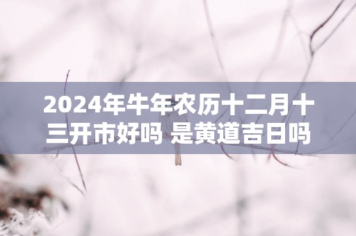 2025年蛇年农历十二月十三开市好吗 是黄道吉日吗