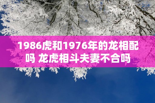 1986虎和1976年的龙相配吗 龙虎相斗夫妻不合吗