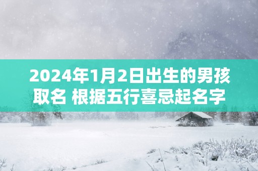 2025年1月2日出生的男孩取名 根据五行喜忌起名字