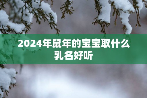 2024年鼠年的宝宝取什么乳名好听