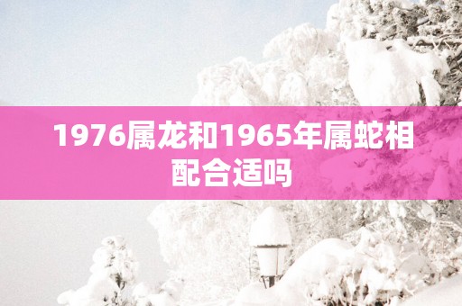 1976属龙和1965年属蛇相配合适吗