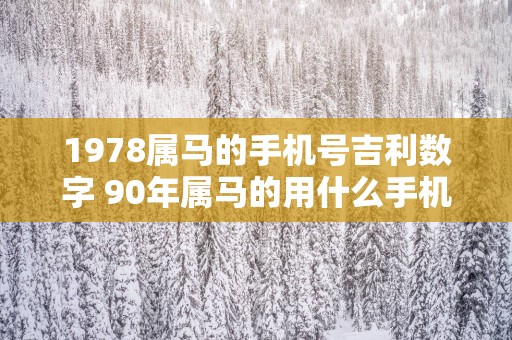 1978属马的手机号吉利数字 90年属马的用什么手机号码好