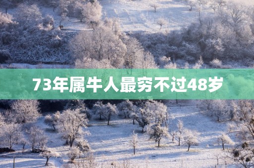73年属牛人最穷不过48岁