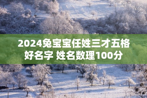 2025兔宝宝任姓三才五格好名字 姓名数理100分