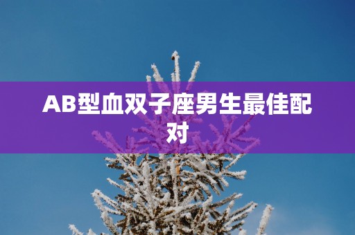 AB型血双子座男生最佳配对