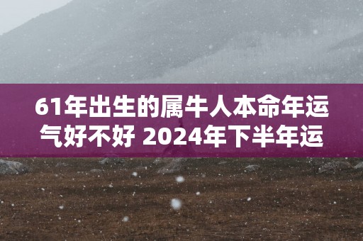 61年出生的属牛人本命年运气好不好 2024年下半年运势如何