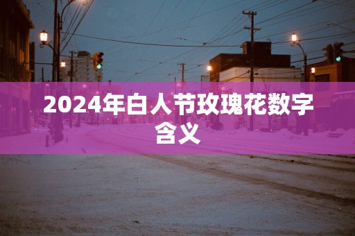 2025年白人节玫瑰花数字含义