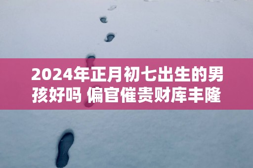 2025年正月初七出生的男孩好吗 偏官催贵财库丰隆