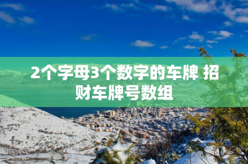 2个字母3个数字的车牌 招财车牌号数组