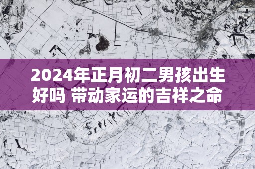 2025年正月初二男孩出生好吗 带动家运的吉祥之命