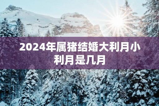 2025年属猪结婚大利月小利月是几月