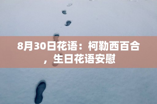 8月30日花语：柯勒西百合，生日花语安慰