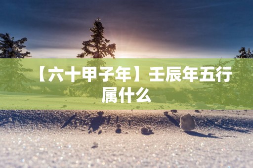 【六十甲子年】壬辰年五行属什么