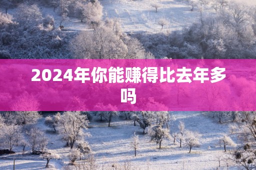 2025年你能赚得比去年多吗