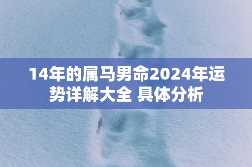 14年的属马男命2025年运势详解大全 具体分析