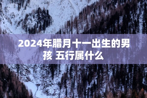 2025年腊月十一出生的男孩 五行属什么