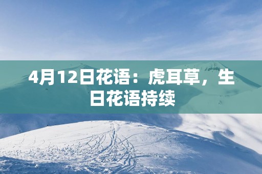 4月12日花语：虎耳草，生日花语持续