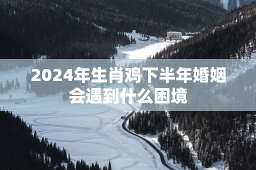 2025年生肖鸡下半年婚姻会遇到什么困境