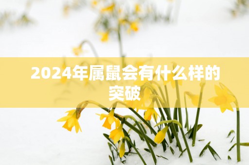 2025年属鼠会有什么样的突破