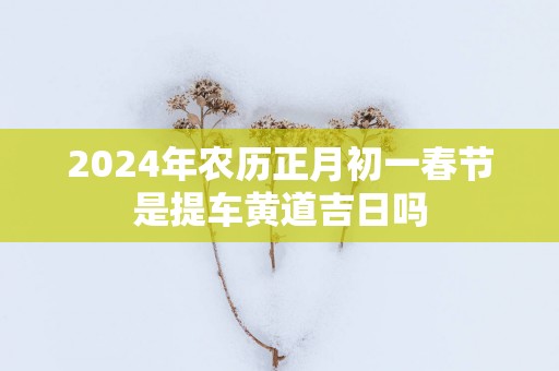 2025年农历正月初一春节是提车黄道吉日吗