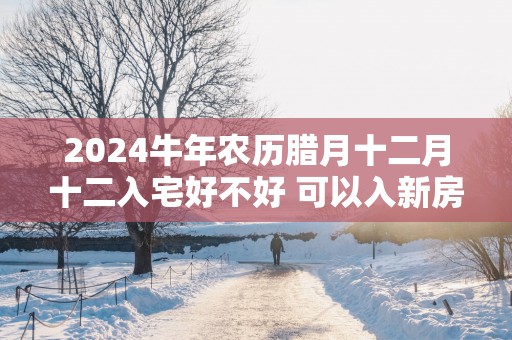 2025蛇年农历腊月十二月十二入宅好不好 可以入新房吗