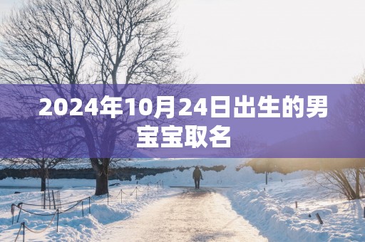 2025年10月24日出生的男宝宝取名