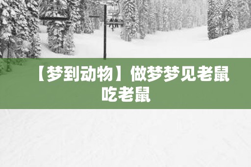 【梦到动物】做梦梦见老鼠吃老鼠