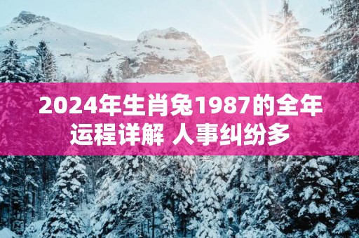 2025年生肖兔1987的全年运程详解 人事纠纷多