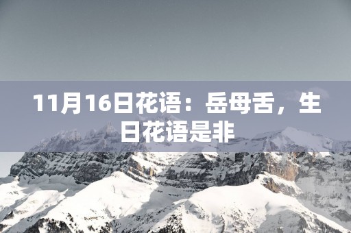 11月16日花语：岳母舌，生日花语是非