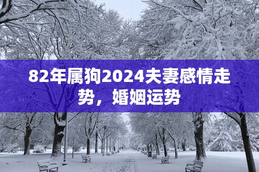 82年属狗2025夫妻感情走势，婚姻运势