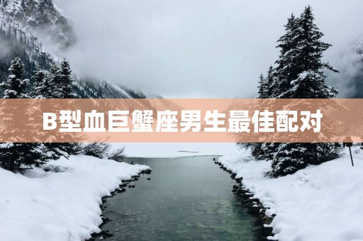 B型血巨蟹座男生最佳配对