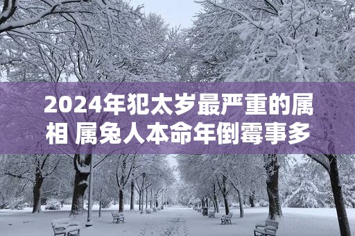 2025年犯太岁最严重的属相 属兔人本命年倒霉事多
