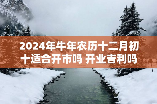 2025年蛇年农历十二月初十适合开市吗 开业吉利吗