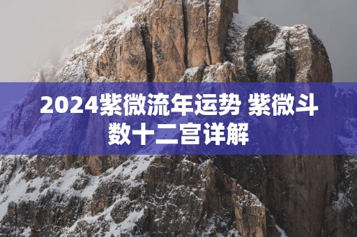 2025紫微流年运势 紫微斗数十二宫详解